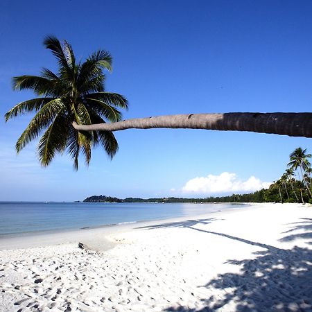 Nirwana Beach Club Lagoi Bagian luar foto